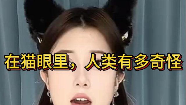 在猫眼里，人类有多奇怪