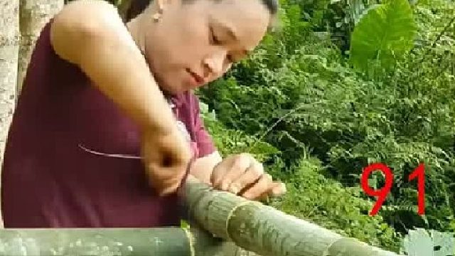 建造鸡窝 收获鸡蛋并带到集市上出售