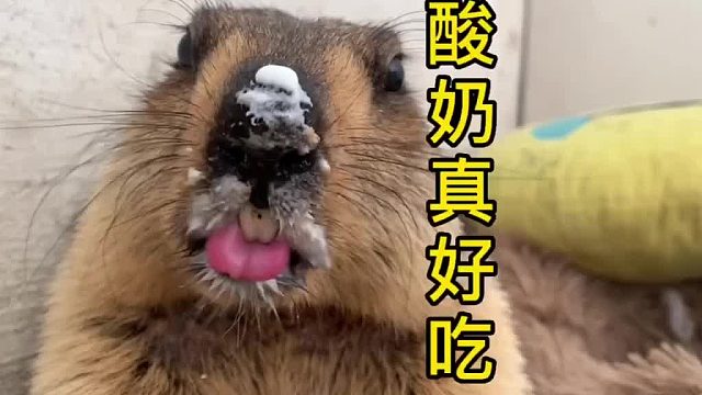 你们觉得我拍的照片好看不。