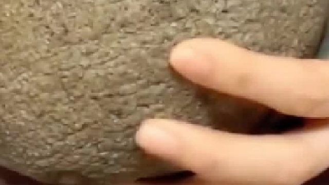 大学生5000买下丑石，一刀切，专家建议上交