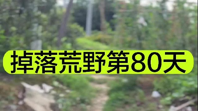 掉落荒野的第80天阳光明媚正是抓鱼的好日子