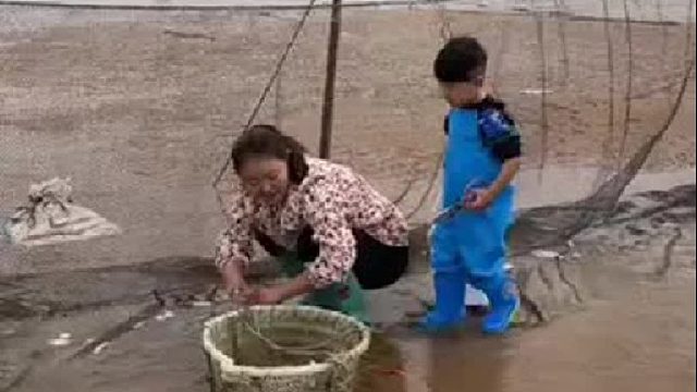 赶海赶海赶海啦