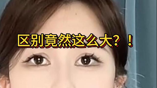 猫咪大不同️️野猫和家猫区别竟然这么大？！