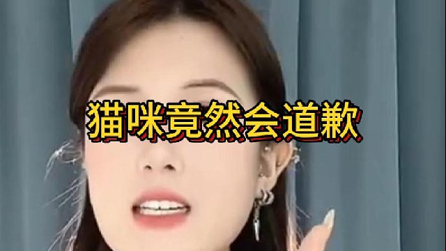 猫咪竟然会道歉看看你有没有忽略过！