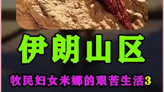 米娜给自己和孩子们买了一块地 伊朗游牧民族牧民的日常生活  (2)