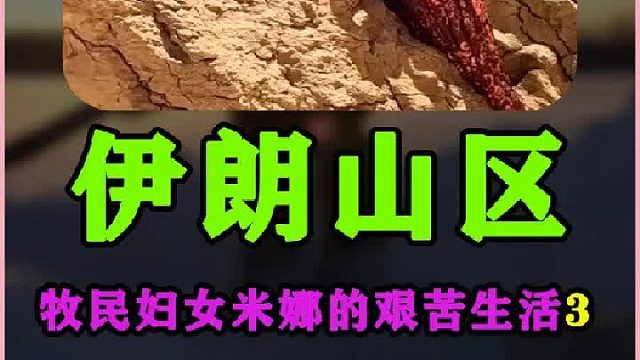 米娜给自己和孩子们买了一块地 伊朗游牧民族牧民的日常生活  (3)