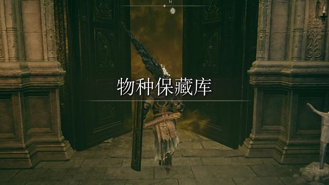 艾尔登法环-黄金树幽影-穿刺者"梅瑟莫"