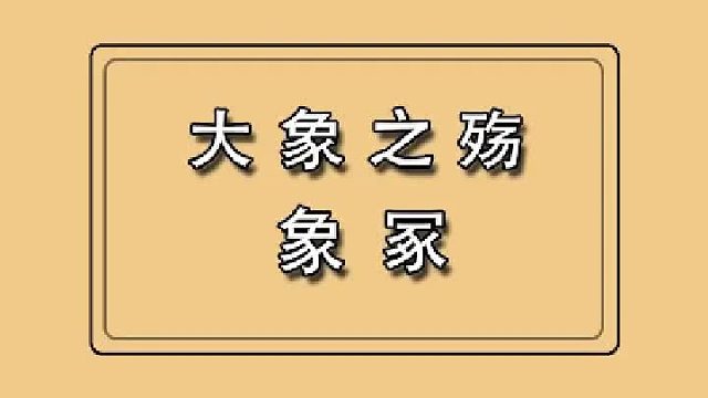 大象之殇——智商高、有象牙是它们的错吗？