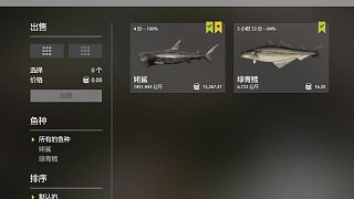 俄羅斯釣魚(yú)4星佬鯊趕魚(yú)1