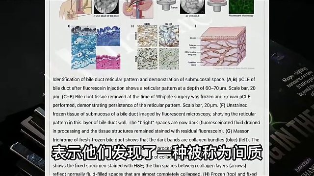 科学家证实人类体内有一个隐形器官，唯有反观内视才能察觉？第二集 经络 中医 穴位 故事