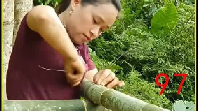 梦琪采摘佛手 跟空中蔬菜并带到集市出售