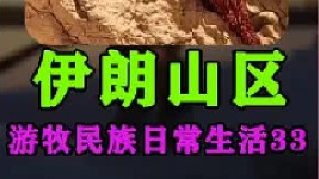 伊朗游牧民族日常生活建造简易树枝小屋 (1)