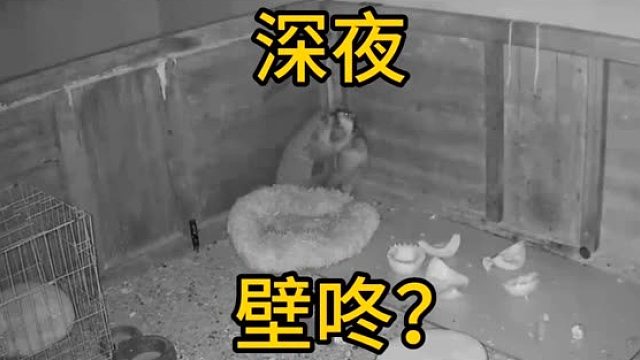 这奇葩睡姿我是没想到的。