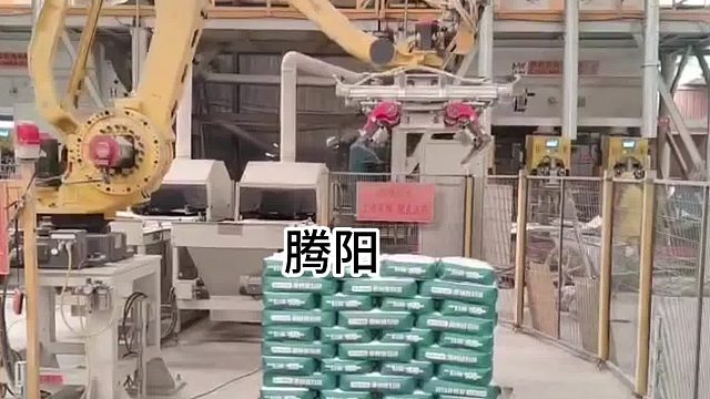 腾阳智能码垛机，满足你的全方位需求~