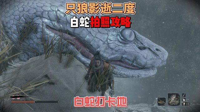 只狼影逝二度之白蛇拍照打卡攻略，想和白蛇零距离接触吗？