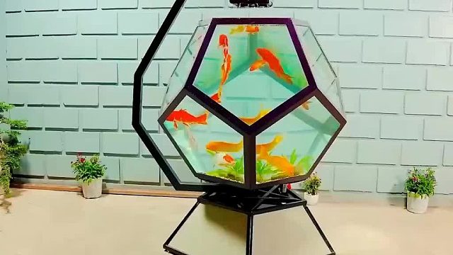 小伙凭借拿手绝活匠心制作出一款美观别致的鱼缸，真的太漂亮了！