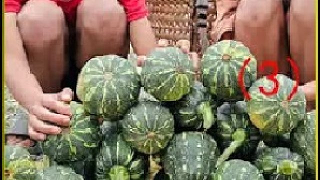 阿豪生活： 被赶出家门的阿豪 在荒郊野外发现跟自己同命相连的女孩