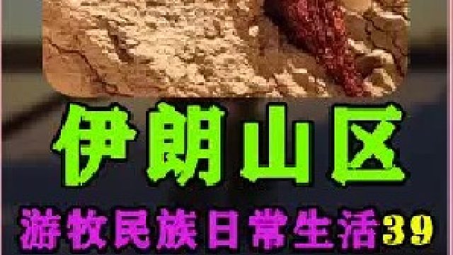 在山坡上的巨石下建造小屋  (1)