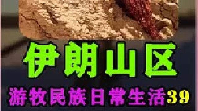 在山坡上的巨石下建造小屋  (3)