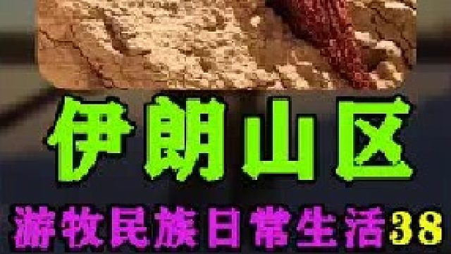 伊朗游牧民族日常生活走亲戚  (3)