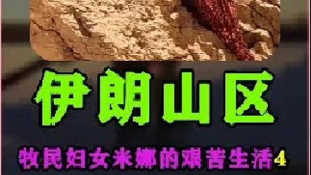 米娜的日常生活伊朗牧民游牧民族的日常生活 (1)