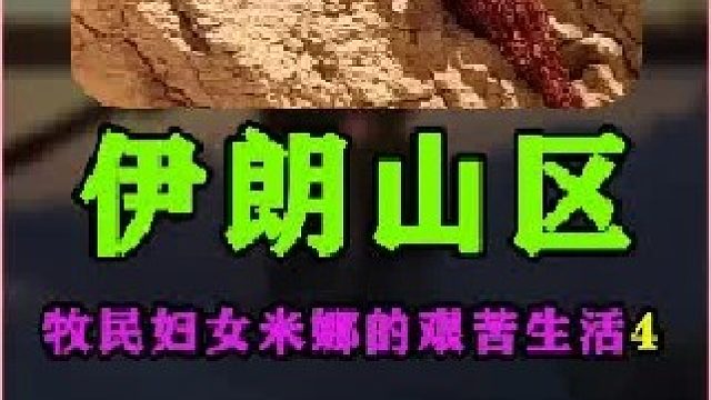 米娜的日常生活伊朗牧民游牧民族的日常生活 (3)