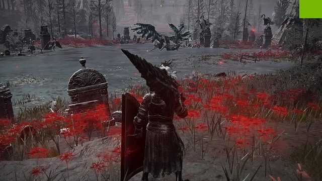 艾尔登法环-黄金树幽影-又是死亡仪式鸟！