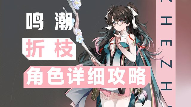 【鸣潮】飞鹤少女，折枝详细攻略