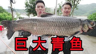 這輩子見過最大的淡水魚，破開肚子就發(fā)現(xiàn)大寶貝