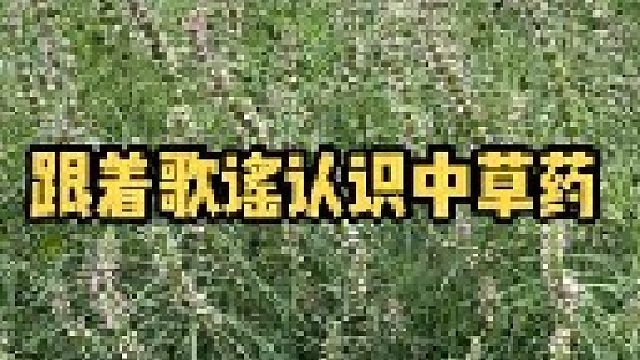 你认识几种，管它们叫啥名字？把这首朗朗上口的百草歌谣分享给身边的小朋友吧，把草药文化传承下去。