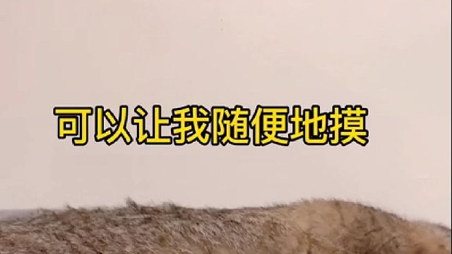 为什么我们无法读懂彼此的温柔