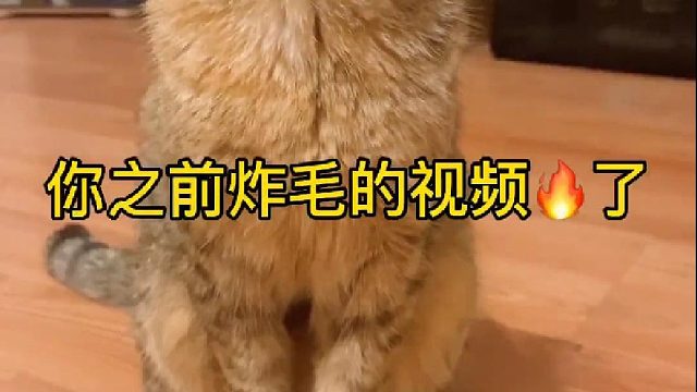 炸毛的五个要点