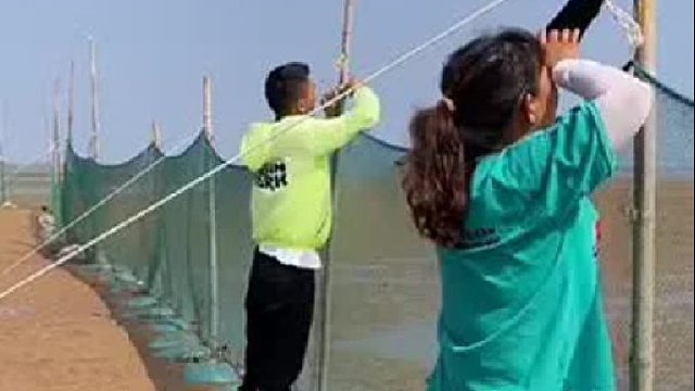 户外赶海抓海鲜