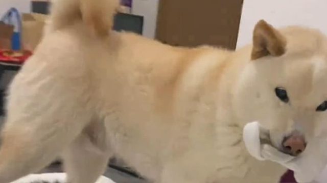 用魔法打败魔法