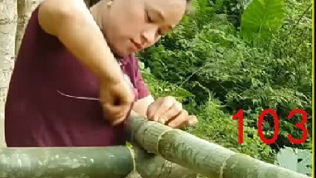 捕捉鸭子带到集市上贩卖 重新饲养家禽