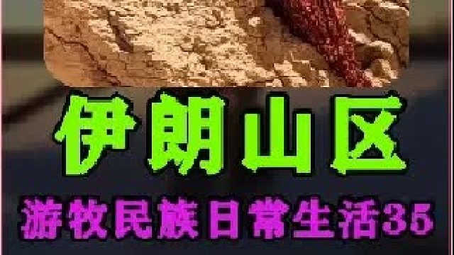 伊朗游牧民族日常生活河边露营  (3)