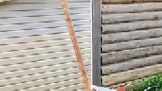 这才是真正的实用小妙招，学到就是赚到！