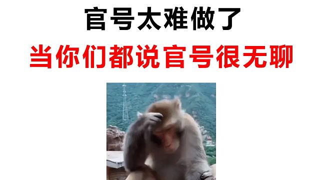 每当有人觉得官号很无聊时......