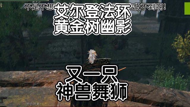 艾尔登法环-黄金树幽影-又一只神兽舞狮！