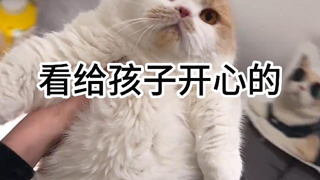 看给孩子开心的