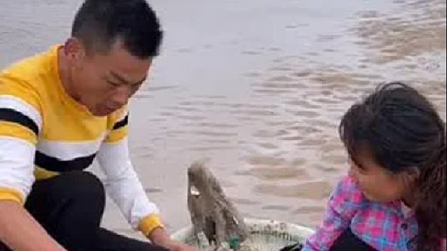 户外赶海抓海鲜