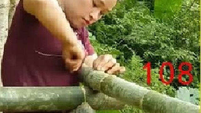 梦琪捕捉鲜美的鱼儿 并带到集市上进行出售