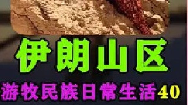 给小屋建造屋檐和门  (1)