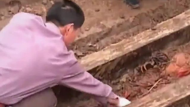 湖北惊现清朝不腐女尸