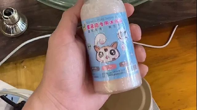 给蜜袋鼯洗澡 ，这期很多朋友想看，我爱洗澡身体好好～