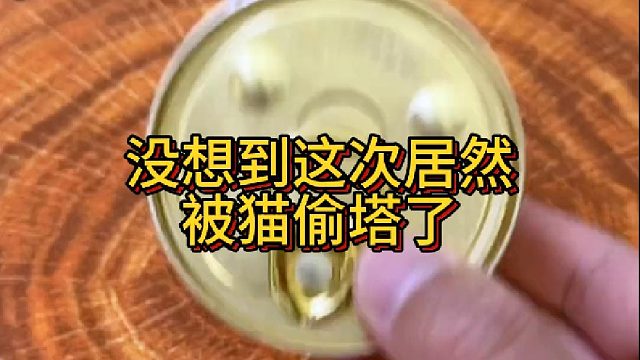 没想到这次居然被猫偷塔了