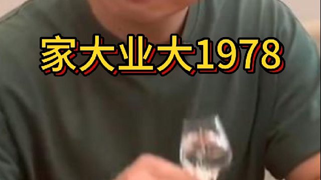 家大业大1978