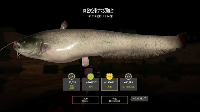 等一条白化鲇鱼