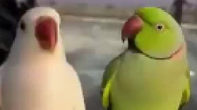 可能这就是爱情吧