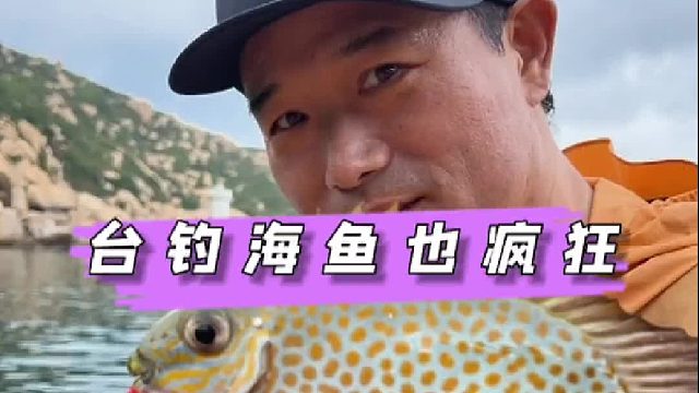 用台钓装备在海岛上钓海鱼，一杆一个轻松爆护是种什么样的体验。